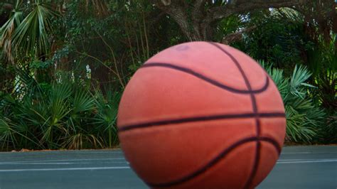 Basketball Courts At Disney Vacation Club Resorts Dvc Shop