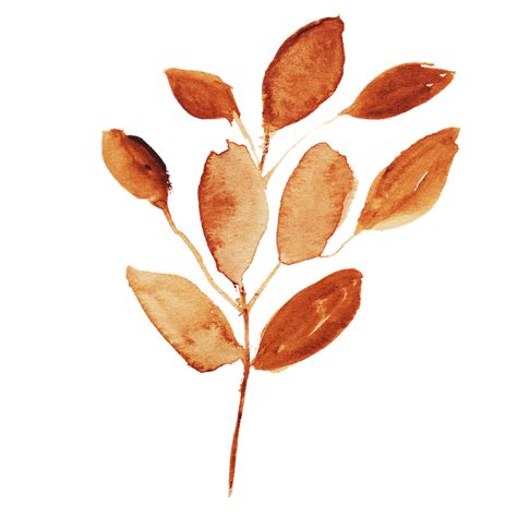 Humidor a sophisticated floral red pattern applicable to any of your works. Free photo Leaf Pattern Floral Flower Watercolor Graphic ...