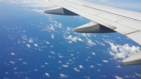 무료 이미지 평면 항공기 차량 공기 호스 푸른 여객기 비행기 여행 비행기에서 하늘 그림 비행기 날개 구름