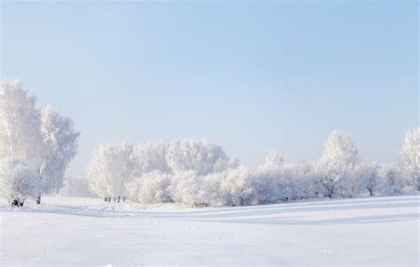 Wallpaper Winter The Sky Snow Trees Panorama Images