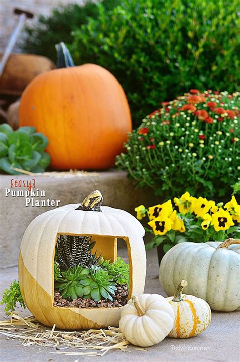 7 Pumpkin Planter Ideas For Outdoor Fall Decorations Digging In The