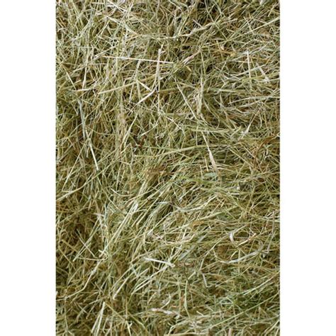 Ray The Hay Small Animal Loose Fill Bagged Hay Large