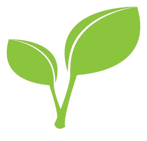 Leaf Png Clipart Png All Png All