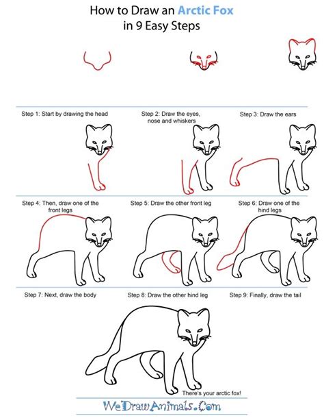 How to draw easy arctic animals. Drawing tutorial easy, Easy drawings, Arctic fox