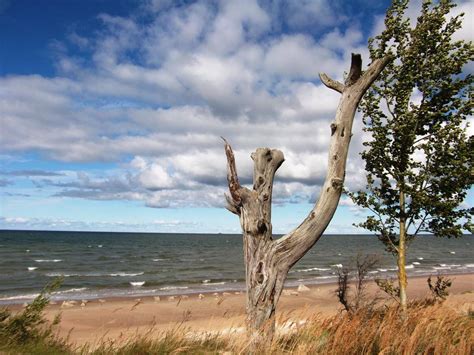 Free Photos Baltic Sea At Kolka Cape Eurosnap