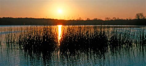 Bring your own gear or borrow ours (line and pole only). Bonham State Park — Texas Parks & Wildlife Department