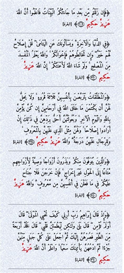 Pin On الله في القرآن