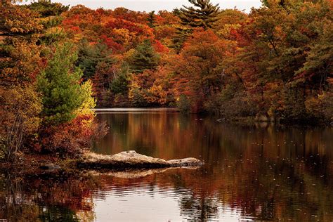 Lynn Woods Birch Pond Fall Colors Photograph By Jeff Folger Fine Art