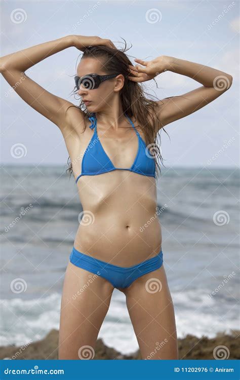 De Vrouw Van De Manier In Bikinis Stock Foto Afbeelding Hot Sex Picture