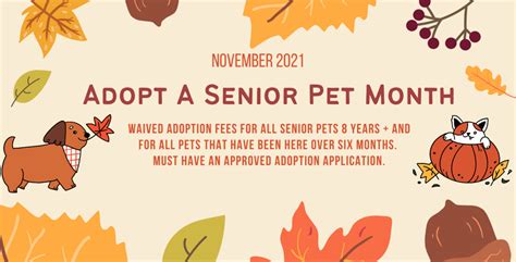 November 2021 Adopt A Senior Pet Month Humane Society Of St Joseph