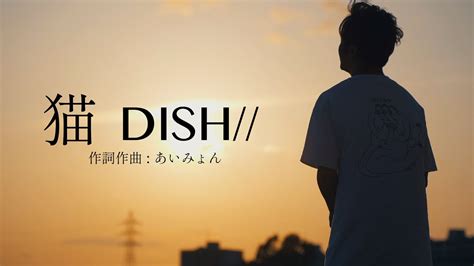 話題の曲 猫 Dish 北村匠海 作詞作曲 あいみょん Covered By 財部亮治 Youtube