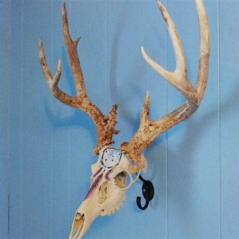 Painted Deer Skull Dream Catcher Wall Hanging Antler Shed