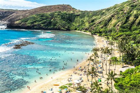 How Pandemic Related Closures Allowed Oahus Hanauma Bay To Recover