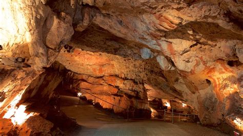 Fotos De Kents Cavern Prehistoric Caves Ver Fotos E Imágenes De Kents