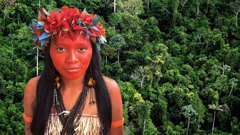 Can The Amazon Rainforest Survive Bbc Reel