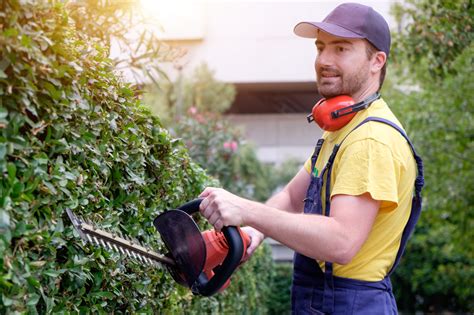Your Career As A Landscaper