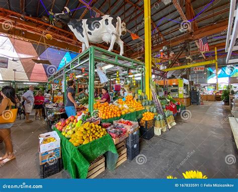 Yellow Green Farmers Market Hollywood Florida Editorial Photo Image