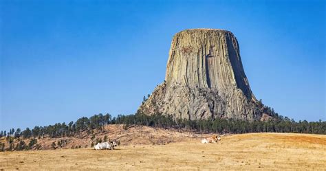 Complete Guide To Devils Tower How To Plan Your Visit Earth Trekkers