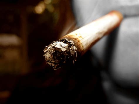 Zigarre Zigarette Zigaretten Zigarren Rauch Rauchen Tabak Hd Hintergrundbild