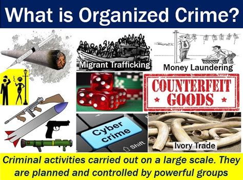 organized crime definition and meaning market business news