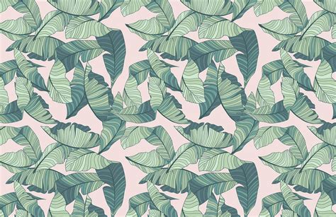 Pink And Green Tropical Leaf Wallpaper Mural Hovia Pink And Green