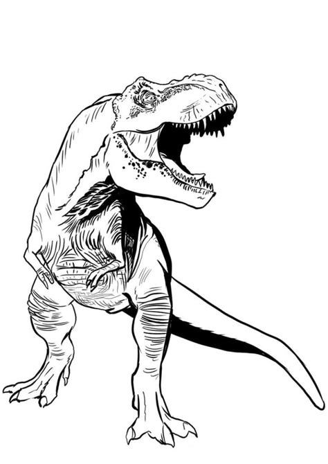 Раскраска Тираннозавр Для Детей Распечатать Telegraph