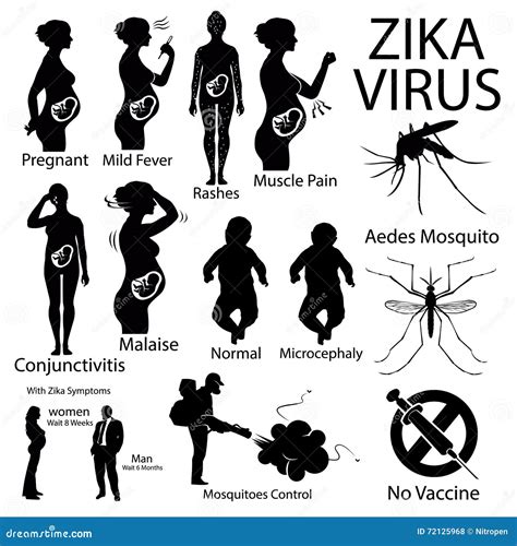 virus de zika infographic con la mujer embarazada ilustración del vector ilustración de mujer