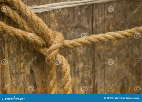 Rope Knot On Wooden Board Stock Photo Image Of Texture 255737692