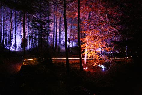 The Enchanted Forest At Faskally Wood Stravaiging Around Scotland