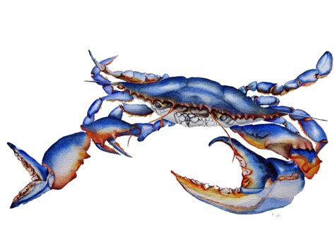 Elegant Blue Crab With Orange Shadow Claws Tattoo Design Tattooimagesbiz