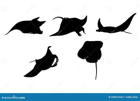 Set Of Silhouettes Of Manta Ray Vector Design Illustration Isolated