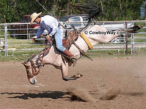 Ranch Bronc Riding Pictures