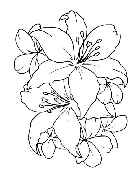 Https://tommynaija.com/tattoo/flower Tattoo Design Outline