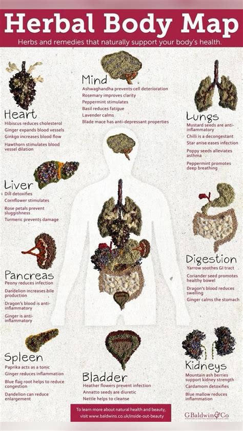 8 Worst Foods For Your Hormones And Why It Matters Artofit