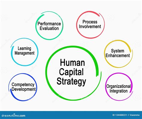 Human Capital Mind Map Strategy Concept Royalty Free Stock Image