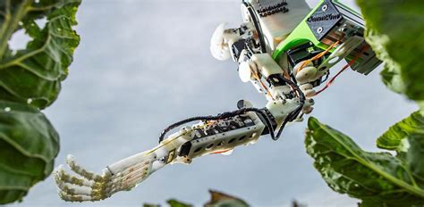 Robot Raccoglitori Autonomi Rivoluzioneranno Lagricoltura Notizie