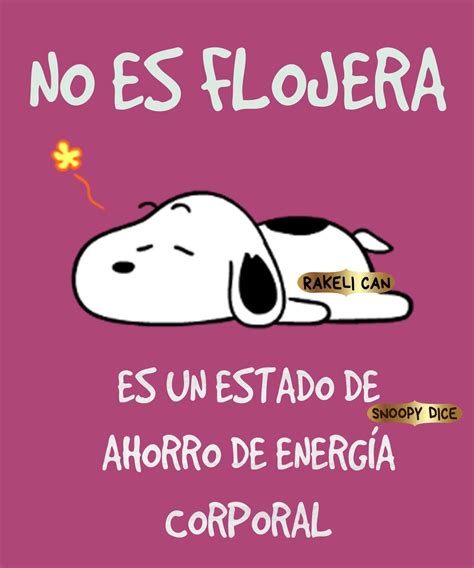 Chistes Peanuts Charlie Brown Snoopy Snoopy Love Snoopy And Woodstock