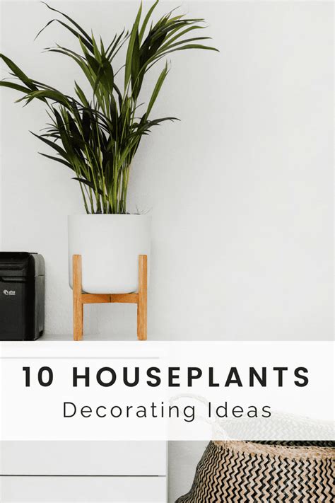 10 Houseplants Decor Ideas