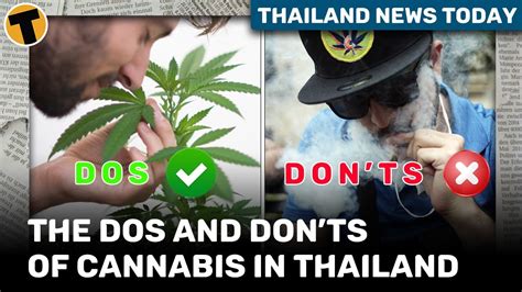 Thailand News Today Thai Cannabis Regulations What You Can And Can’t Do Youtube