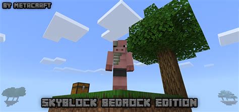 Minecraft education edition addons skyblock. Skyblock Bedrock Edition | Minecraft PE Maps