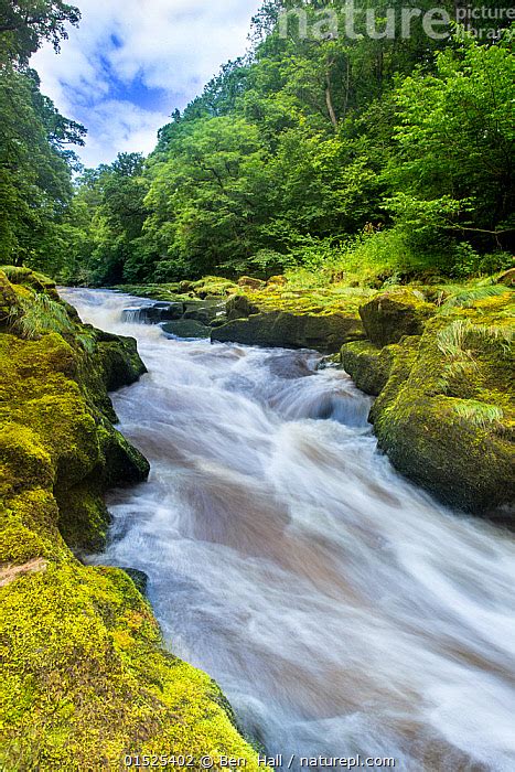 Stock Photo Of The Strid River Wharfe Slow Shutter Speed Showing
