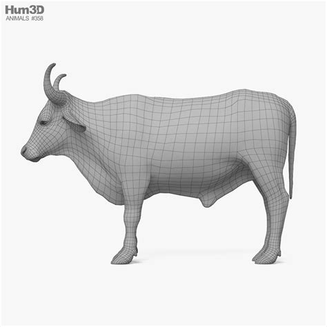 Ox Print Ready 3d Model Animals On Hum3d