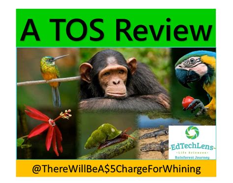 There Will Be A 500 Charge For Whining A Tos Review Rainforest Journey