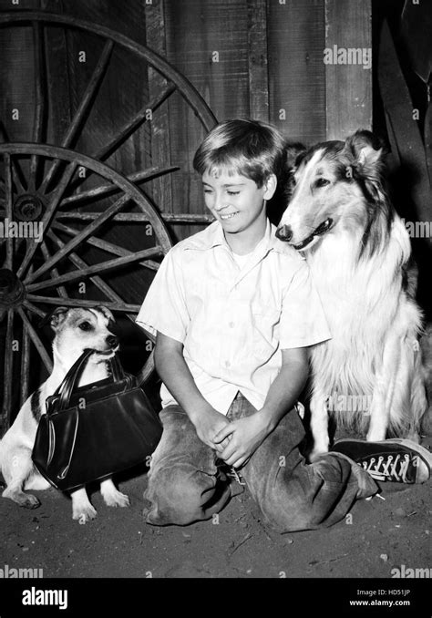 Lassie Tommy Rettig Lassie The Clown Season 2 Aired November 27 1955 1954 74 Stock
