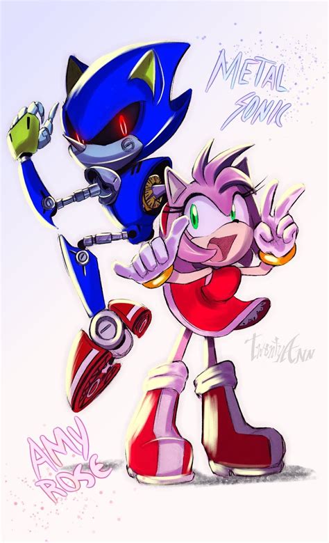 Sonamy Sonic Sonicthehedgehog The Hedgehog Amy Rose Best Sonic Ships