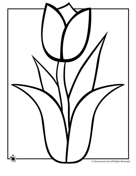 Tulip Outline Clipart Best