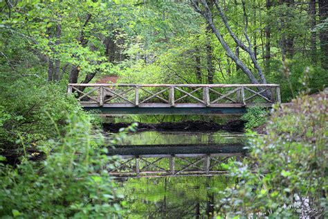 Old Wooden Bridge Over River In Forest Photograph By Mike M Burke Pixels