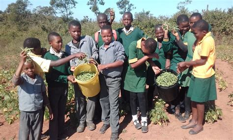 Gallery Adventist Development And Relief Agency Eswatini