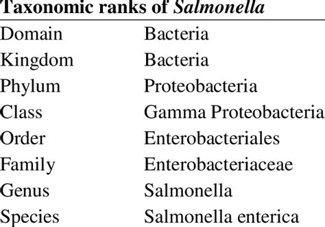 Scientific Classification Of Salmonella 8 Download Scientific Diagram