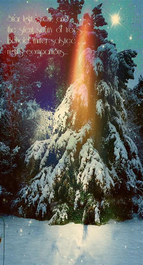 A Winter Solstice Nights Dream Digital Art By Pamela